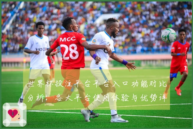 世界杯投注平台平台入口功能对比分析：各大平台使用体验与优势详解