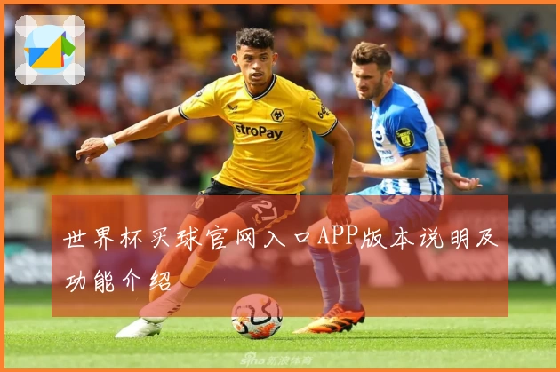 世界杯买球官网入口APP版本说明及功能介绍