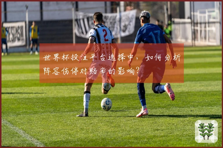世界杯投注平台选择中，如何分析阵容伤停对赔率的影响？