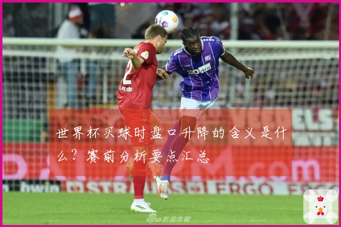 世界杯买球时盘口升降的含义是什么？赛前分析要点汇总