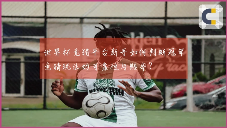 世界杯竞猜平台新手如何判断冠军竞猜玩法的可靠性与赔率？