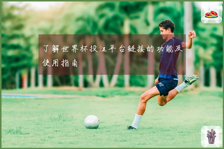 了解世界杯投注平台链接的功能及使用指南