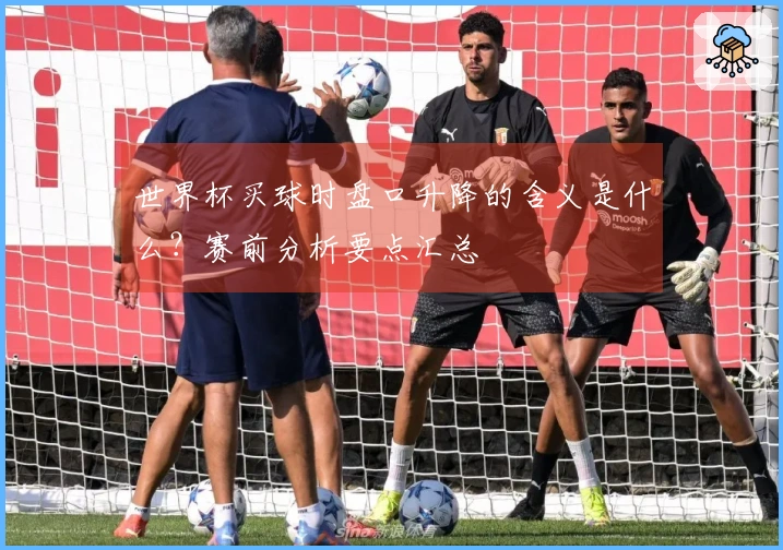 世界杯买球时盘口升降的含义是什么?赛前分析要点汇总