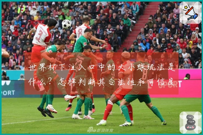 世界杯下注入口中的大小球玩法是什么？怎样判断其合法性和可信度？
