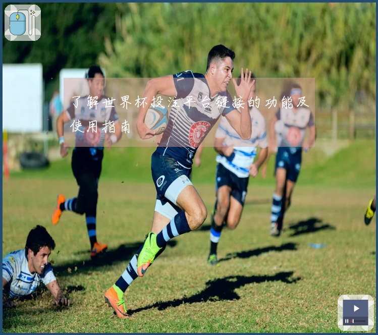 了解世界杯投注平台链接的功能及使用指南