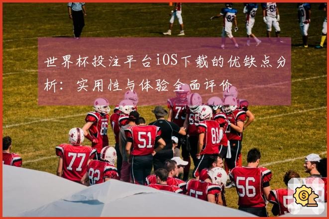 世界杯投注平台iOS下载的优缺点分析：实用性与体验全面评价